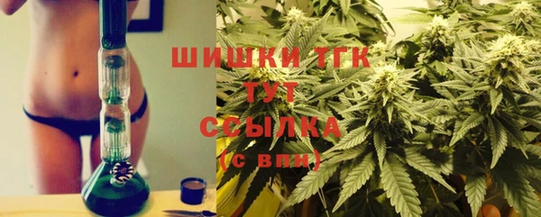 дживик Абаза