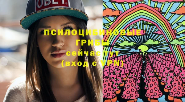 меф Алексин