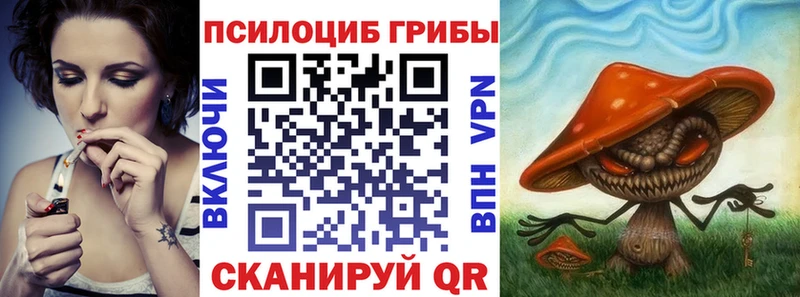 Галлюциногенные грибы Psilocybine cubensis  mega рабочий сайт  Талица 